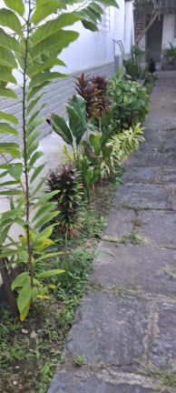 Imagem Casa com 5 Quartos à Venda, 250 m² em Graças - Recife Imagem Casa com 5 Quartos à Venda, 250 m² em Graças - Recife