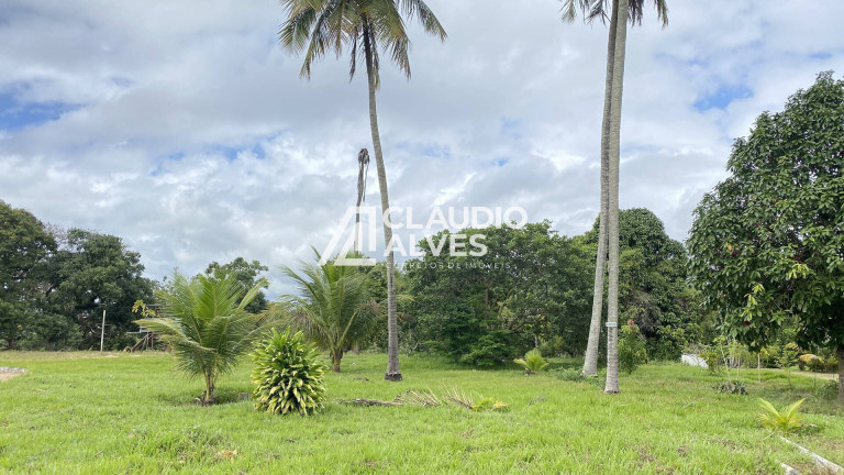 Imagem Terreno à Venda, 10.000 m² em Conceição - Feira De Santana Imagem Terreno à Venda, 10.000 m² em Conceição - Feira De Santana