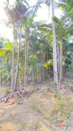 Imagem Terreno à Venda, 5.300 m² em Espírito Santo - Paraibuna Imagem Terreno à Venda, 5.300 m² em Espírito Santo - Paraibuna