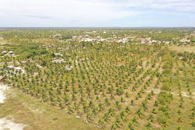 Imagem Terreno à Venda, 4.700 m² em Praia Do Preá - Cruz Imagem Terreno à Venda, 4.700 m² em Praia Do Preá - Cruz
