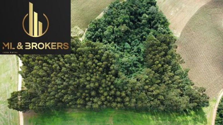 Imagem Imóvel à Venda, 24.000 m² em Rio Do Cacho - Contenda