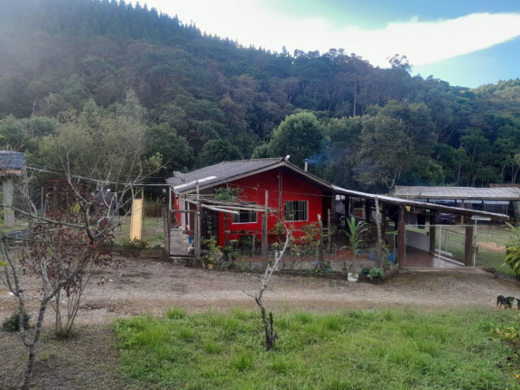 Imagem Imóvel com 3 Quartos à Venda, 72.000 m² em Centro - Tunas Do Parana