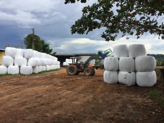 Imagem Fazenda à Venda, em Juara Imagem Fazenda à Venda, em Juara