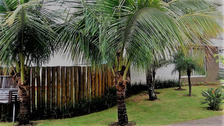 Imagem Sobrado com 4 Quartos à Venda, 860 m² em Massaguaçu - Caraguatatuba Imagem Sobrado com 4 Quartos à Venda, 860 m² em Massaguaçu - Caraguatatuba