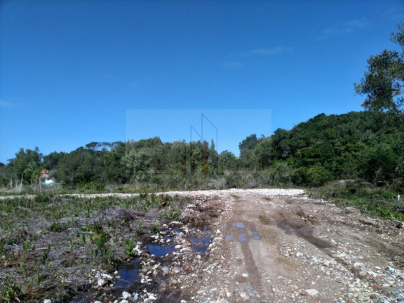 Imagem Terreno à Venda, 125 m² em Tupy - Itanhaem