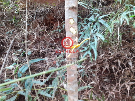 Terreno à Venda,  em Recreio Eldorado Do Valle - Santa Branca