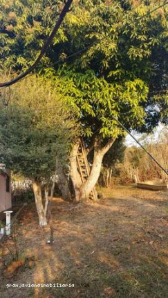 Imagem Chácara à Venda,  em Consultar - Ibiúna