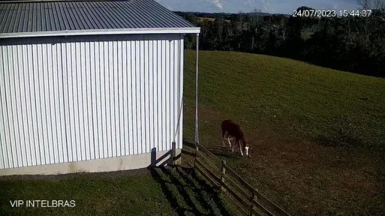 Imagem Imóvel com 4 Quartos à Venda, 206.533 m² em Riozinho De Baixo - Rebouças
