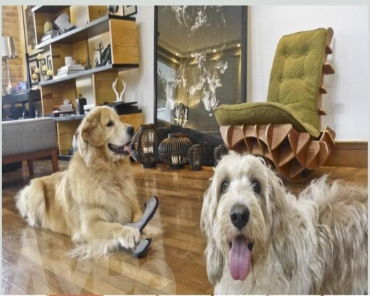 Imagem Casa com 3 Quartos à Venda, 250 m² em Jardim Paulistano - São Paulo Imagem Casa com 3 Quartos à Venda, 250 m² em Jardim Paulistano - São Paulo