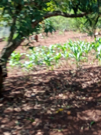 Imagem Imóvel à Venda, 1.400 m² em Boa Vista Dos Silva - Bragança Paulista Imagem Imóvel à Venda, 1.400 m² em Boa Vista Dos Silva - Bragança Paulista