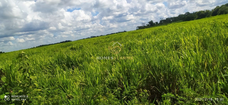 Imagem Imóvel com 3 Quartos à Venda, 423 m² em Zona Rural - Turvelândia Imagem Imóvel com 3 Quartos à Venda, 423 m² em Zona Rural - Turvelândia