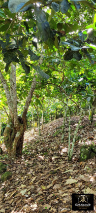 Imagem Fazenda à Venda, 8 m² em Zona Rural - Ubaitaba Imagem Fazenda à Venda, 8 m² em Zona Rural - Ubaitaba
