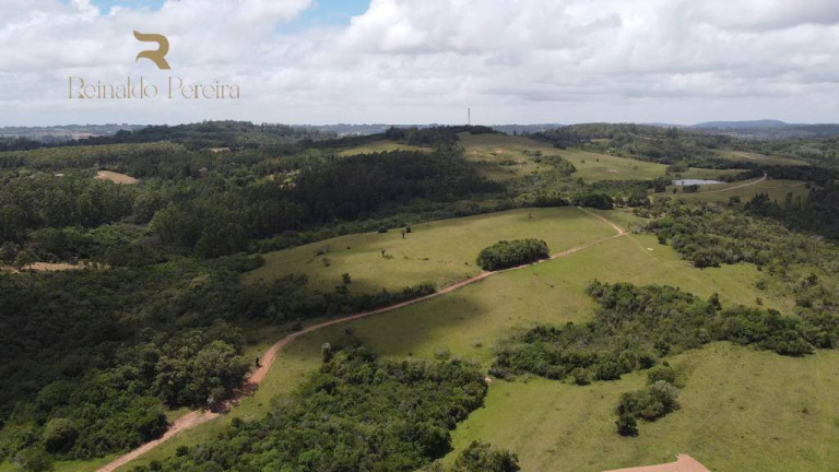 Imagem Chácara à Venda, 2.000 m² em Fiuza - Viamão Imagem Chácara à Venda, 2.000 m² em Fiuza - Viamão