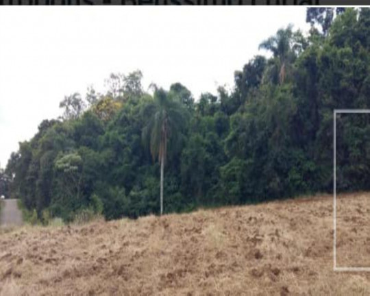 Imagem Imóvel à Venda,  em Pinhal Alto - Nova Petrópolis