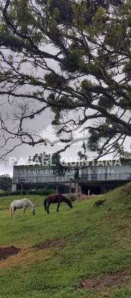 Imagem Fazenda à Venda, 210 m² em Alfredo Wagner