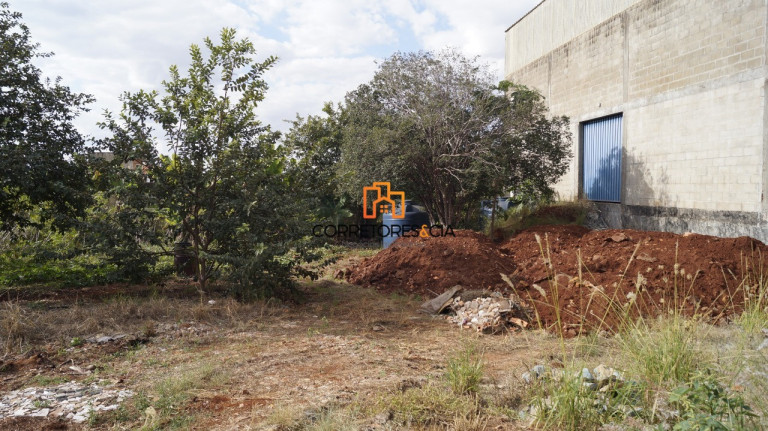 Imagem Terreno à Venda, 2.600 m² em Alto Do Ipiranga - Ribeirão Preto Imagem Terreno à Venda, 2.600 m² em Alto Do Ipiranga - Ribeirão Preto