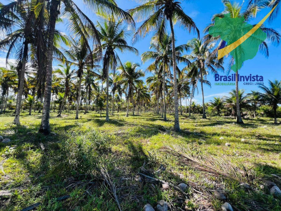 Imagem Terreno à Venda, 120 m² em Guaiù - Santa Cruz Cabrália Imagem Terreno à Venda, 120 m² em Guaiù - Santa Cruz Cabrália
