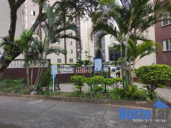 Imagem Apartamento com 2 Quartos à Venda, 50 m² em Jardim Do Tiro - São Paulo