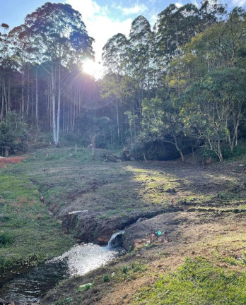Imagem Fazenda à Venda, 968.000 m² em Centro - Joanópolis
