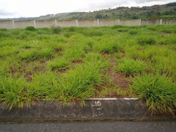 Imagem Terreno à Venda, 250 m² em Centro - Taubaté Imagem Terreno à Venda, 250 m² em Centro - Taubaté