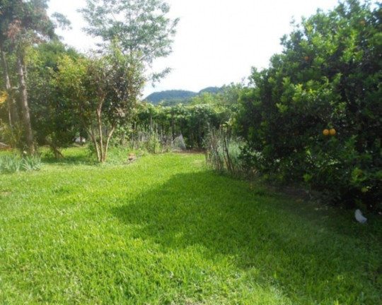 Imagem Casa com 5 Quartos à Venda, 360 m² em Juriti - Nova Petrópolis