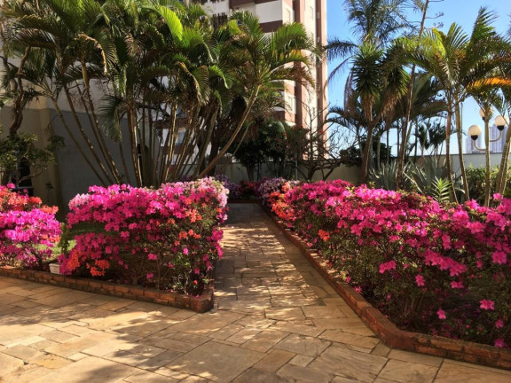Imagem Apartamento com 3 Quartos à Venda, 65 m² em Vila Granada - São Paulo