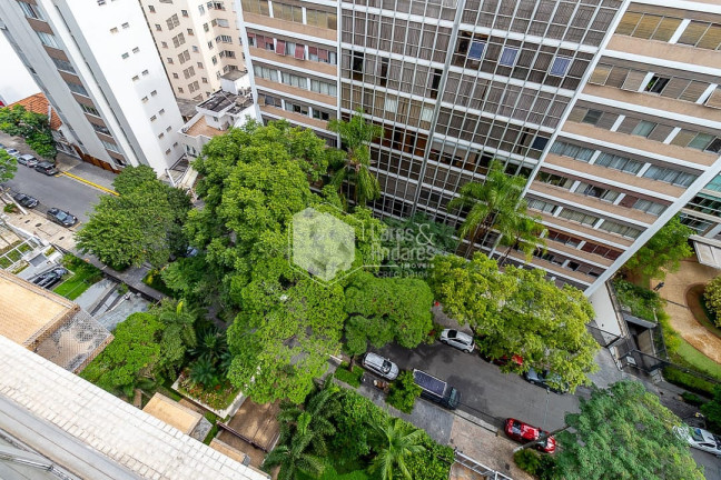 Imagem Apartamento com 4 Quartos à Venda, 253 m² em Higienópolis - São Paulo Imagem Apartamento com 4 Quartos à Venda, 253 m² em Higienópolis - São Paulo