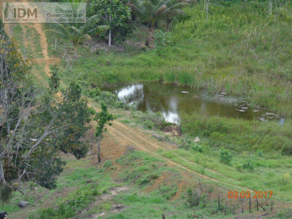 Imagem Chácara à Venda, 2.780.000 m² em Rural - Camamu Imagem Chácara à Venda, 2.780.000 m² em Rural - Camamu