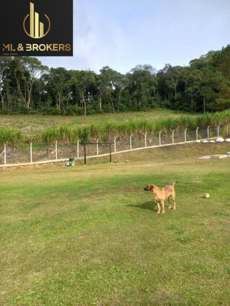 Imagem Imóvel com 3 Quartos à Venda, 26.000 m² em Quitandinha - Quitandinha