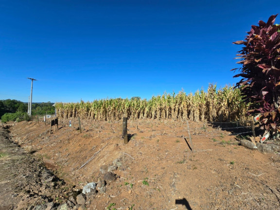 Imagem Chácara à Venda, 2.500 m² em Linha Santa Cruz - Santa Cruz Do Sul