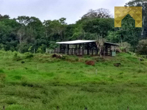 Imagem Fazenda à Venda, 98 m² em Centro - Barro Preto Imagem Fazenda à Venda, 98 m² em Centro - Barro Preto