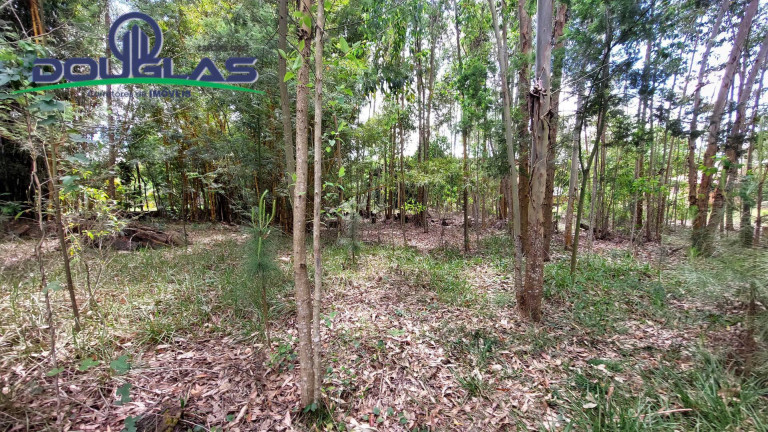 Imagem Terreno à Venda, 462 m² em águas Claras - Viamão