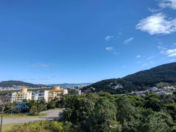 Terreno à Venda, 533 m² em Itacorubi - Florianópolis
