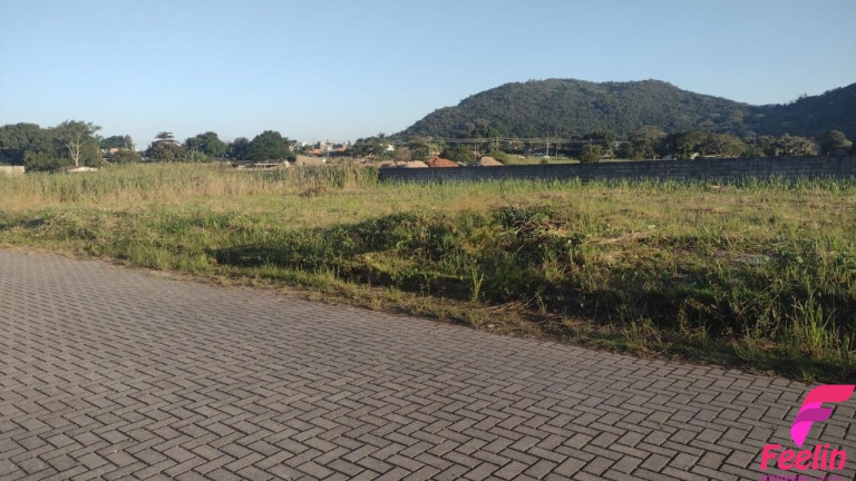 Imagem Terreno à Venda, 450 m² em Rio Tavares - Florianópolis Imagem Terreno à Venda, 450 m² em Rio Tavares - Florianópolis