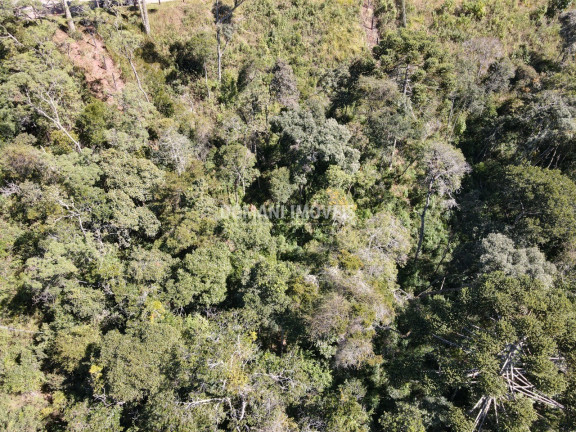 Imagem Terreno à Venda, 2.080 m² em Região Do Atalaia - Campos Do Jordão