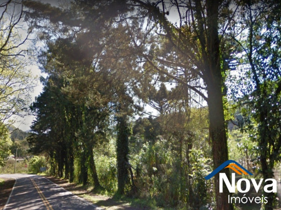 Imagem Imóvel à Venda, 2.500 m² em Piá - Nova Petrópolis Imagem Imóvel à Venda, 2.500 m² em Piá - Nova Petrópolis