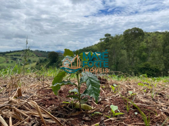 Imagem Fazenda à Venda, 56 m² em Centro - São José Do Alegre Imagem Fazenda à Venda, 56 m² em Centro - São José Do Alegre