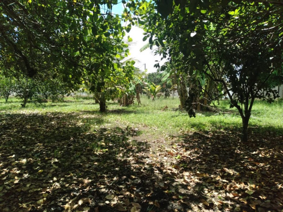 Imagem Terreno à Venda, 3.000 m² em Rural - Paudalho Imagem Terreno à Venda, 3.000 m² em Rural - Paudalho