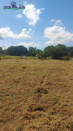 Imagem Terreno à Venda, 813 m² em Viamão Imagem Terreno à Venda, 813 m² em Viamão
