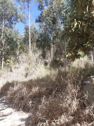 Imagem Chácara com 3 Quartos à Venda, 121.000 m² em Damião - Paraibuna