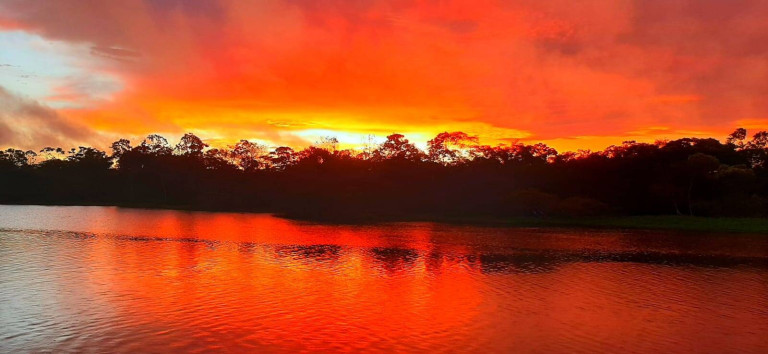Imagem Chácara à Venda, 480.000 m² em Careiro Imagem Chácara à Venda, 480.000 m² em Careiro