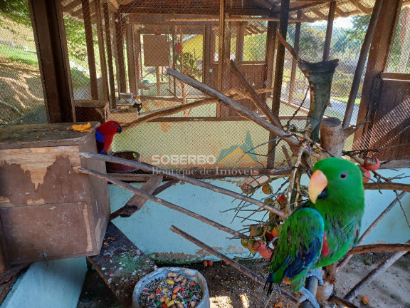 Imagem Imóvel com 4 Quartos à Venda, 720.000 m² em Maraporá - Cachoeiras De Macacu