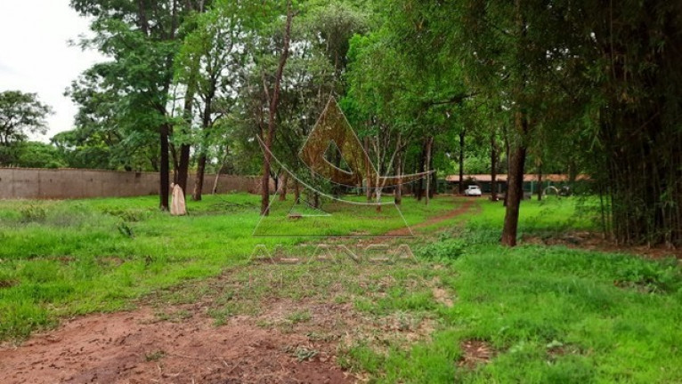 Imóvel com 1 Quarto à Venda, 5.000 m² em Itanhangá  - Ribeirão Preto