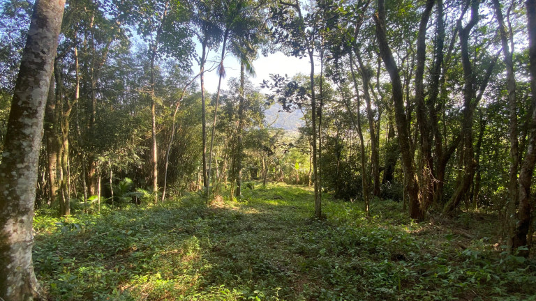 Imagem Terreno à Venda, 172.989 m² em Ressacada - Garopaba Imagem Terreno à Venda, 172.989 m² em Ressacada - Garopaba