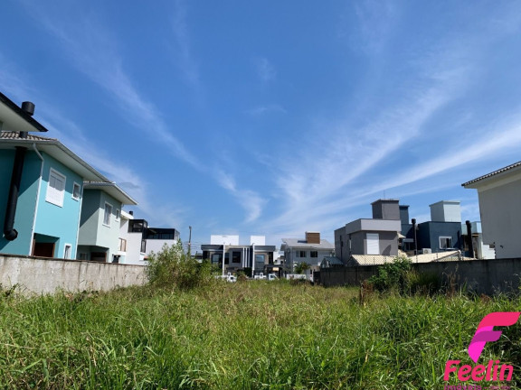 Terreno à Venda, 450 m² em Ribeirão Da Ilha - Florianópolis