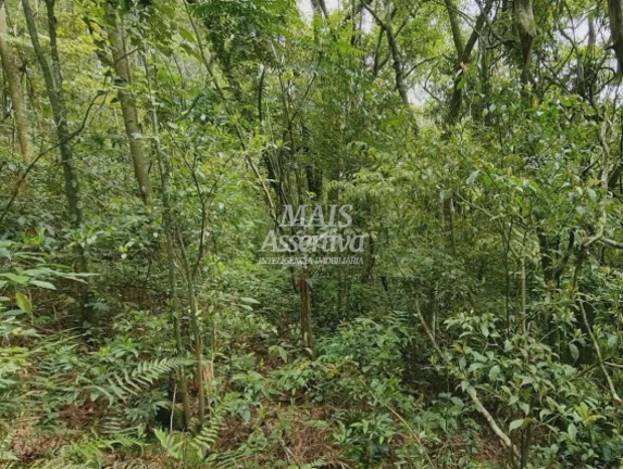 Imagem Imóvel à Venda, 50 m² em Centro - São Francisco De Paula Imagem Imóvel à Venda, 50 m² em Centro - São Francisco De Paula