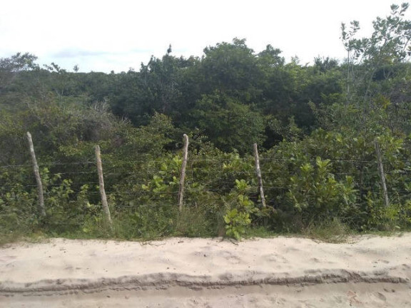 Terreno à Venda, 5.700 m² em Praia Da Pipa - Tibau Do Sul