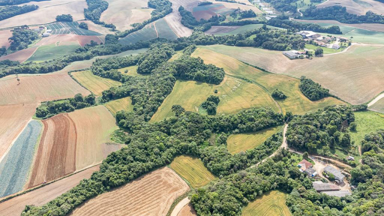 Imagem Terreno à Venda, 145.200 m² em Vila Dom Pedro Ii - Campo Largo
