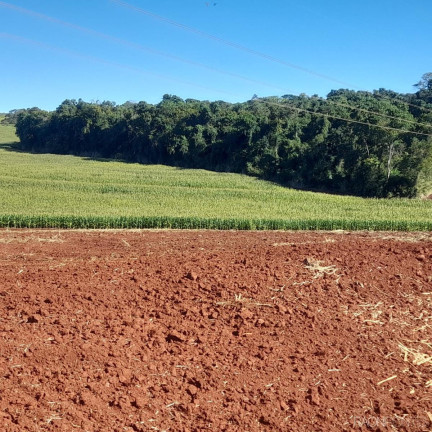 Imagem Fazenda à Venda, 14.157.000 m² em água Das Abóboras - Ibiporã Imagem Fazenda à Venda, 14.157.000 m² em água Das Abóboras - Ibiporã