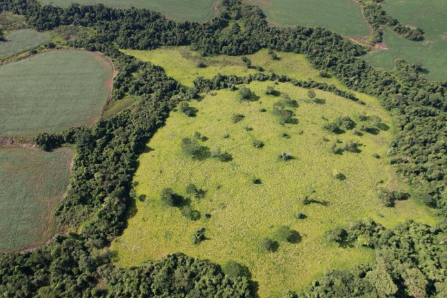 Imagem Fazenda à Venda, 160 m² em Zona Rural - Rio Verde